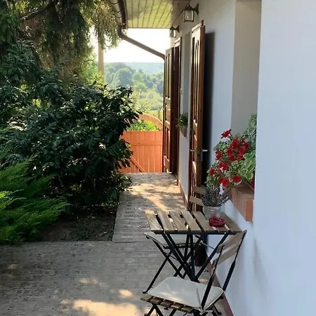 Pensjonat Borfa Birtok Pocsa