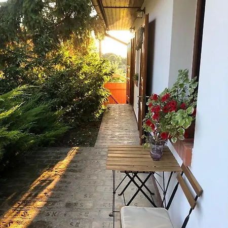 Borfa Birtok Guest house *